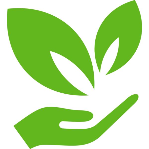 51 Leaves in hands Thumbnail