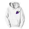 Youth Fan Favorite Fleece Pullover Hooded Sweatshirt Thumbnail